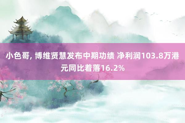 小色哥, 博维贤慧发布中期功绩 净利润103.8万港元同比着落16.2%