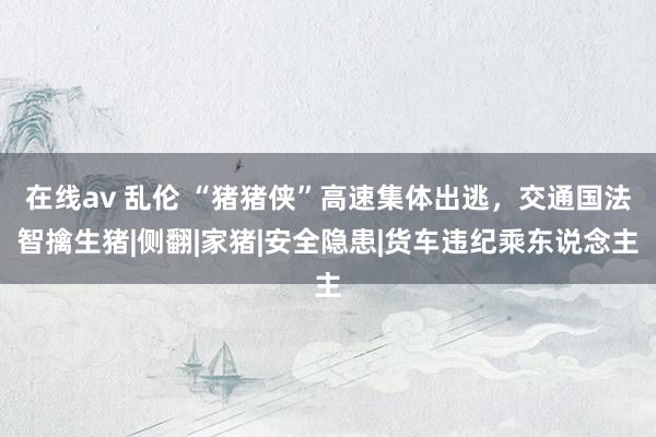 在线av 乱伦 “猪猪侠”高速集体出逃，交通国法智擒生猪|侧翻|家猪|安全隐患|货车违纪乘东说念主