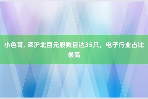 小色哥， 深沪北百元股数目达35只，电子行业占比最高