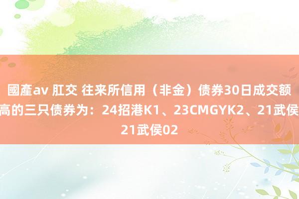 國產av 肛交 往来所信用（非金）债券30日成交额最高的三只债券为：24招港K1、23CMGYK2、21武侯02