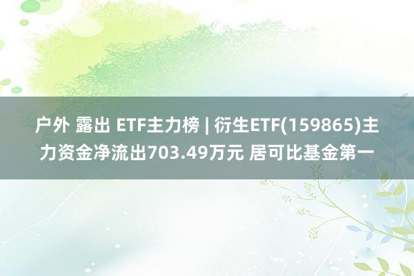 户外 露出 ETF主力榜 | 衍生ETF(159865)主力资金净流出703.49万元 居可比基金第一