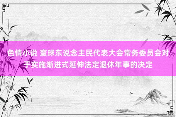 色情小说 寰球东说念主民代表大会常务委员会对于实施渐进式延伸法定退休年事的决定