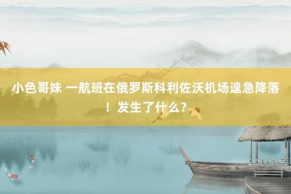 小色哥妹 一航班在俄罗斯科利佐沃机场遑急降落！发生了什么？