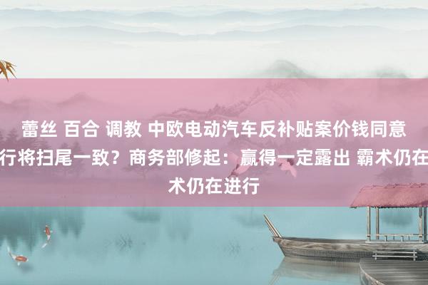 蕾丝 百合 调教 中欧电动汽车反补贴案价钱同意霸术行将扫尾一致？商务部修起：赢得一定露出 霸术仍在进行