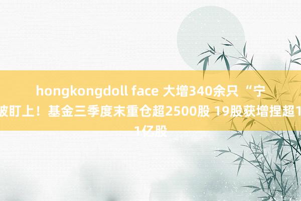 hongkongdoll face 大增340余只 “宁王”被盯上！基金三季度末重仓超2500股 19股获增捏超1亿股