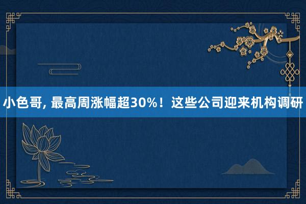 小色哥， 最高周涨幅超30%！这些公司迎来机构调研