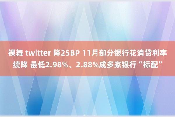 裸舞 twitter 降25BP 11月部分银行花消贷利率续降 最低2.98%、2.88%成多家银行“标配”