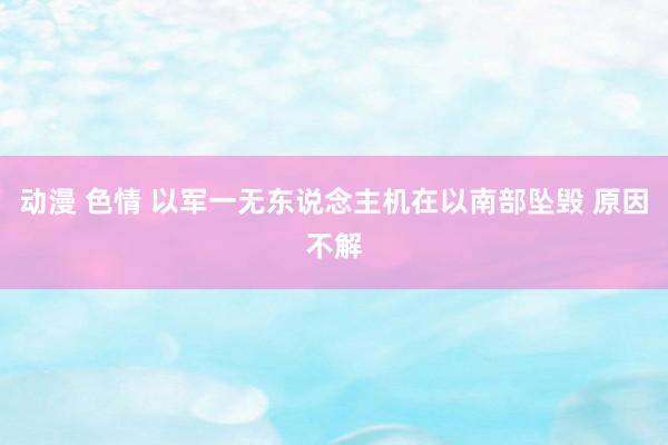 动漫 色情 以军一无东说念主机在以南部坠毁 原因不解