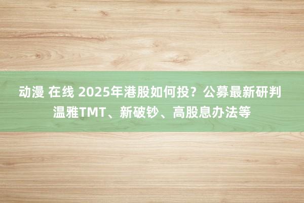 动漫 在线 2025年港股如何投？公募最新研判 温雅TMT、新破钞、高股息办法等