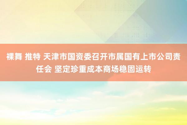 裸舞 推特 天津市国资委召开市属国有上市公司责任会 坚定珍重成本商场稳固运转