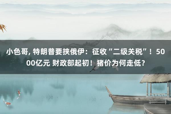小色哥， 特朗普要挟俄伊：征收“二级关税”！5000亿元 财政部起初！猪价为何走低？
